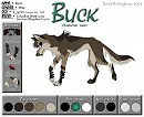 Buck character sheet