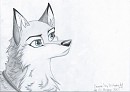 Amy