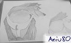 Aniu80