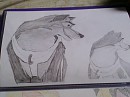 Balto et Kodi
