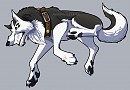 I'm the lead dog