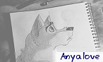 anyalove