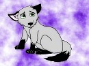 Akim Puppy