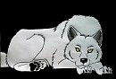 Aniu