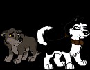 Balto and Steele pups