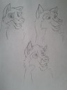 Sketch