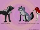 Achak (c) Draco; Kita and Kiona (c) CatWhoHas14Tai