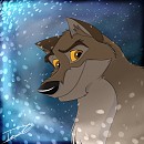 Balto Icon