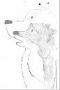 Balto an aniu