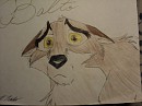 Cutest Balto Pose