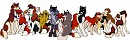 Closest Family