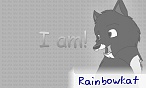 Rainbowkat
