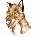 Balto Pen sketch (Coloured on a Computer)