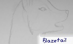 blazetail