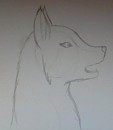 Alue drawing 6-10-2014