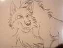 Niju (Sketch) 