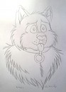 Nikki (Sketch)