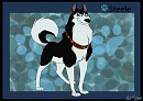 Steele
