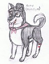 Another new Katie ref.