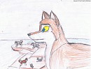 Watching over the pack