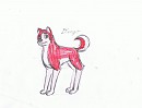 My interpetation of Dingo