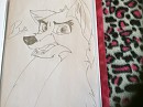 Balto