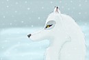 White Wolf in the snow