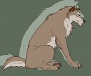 Nava