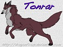 Tonrar Character Sheet