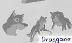 draggane