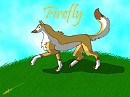 Firefly- New Char!