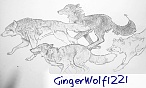 GingerWolf1221