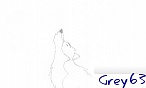 grey63