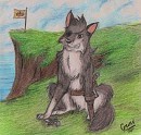 Pirate Balto