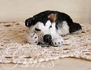 Sleepy Steele Sculpture