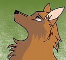 Narni's Head