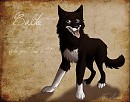 The real Balto