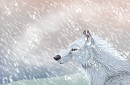 The white wolf