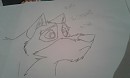 Dessin pour Grey wolf 