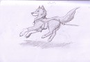 Real Balto