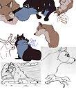 Soul's Trail Sketches