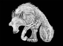 The white wolf