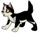 Puppy Mirage