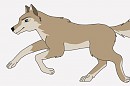 Aleu run