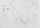 Brouillon