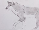 Vieux dessin