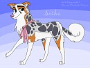 Sashaaaaaa 