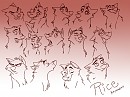 Facial Expressions practice