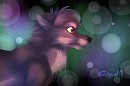 Quicky Doodle