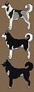 Realistic Husky Adoptables 3